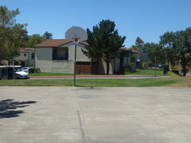 Profile of the basketball court Hamilton - Small Court, Novato, CA, United States
