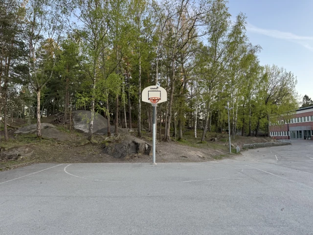 Profile of the basketball court Kvickenstorpsskolan, Farsta, Sweden