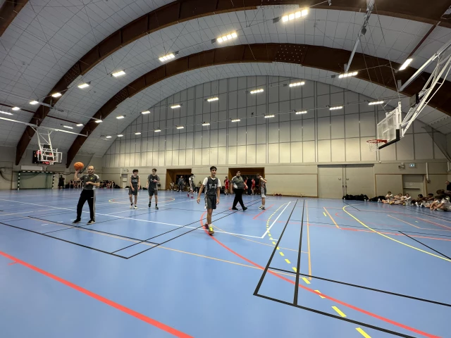 Profile of the basketball court Eriksdalshallen, Stockholm, Sweden
