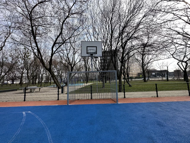 Profile of the basketball court Egyetemisták parkja, Budapest, Hungary