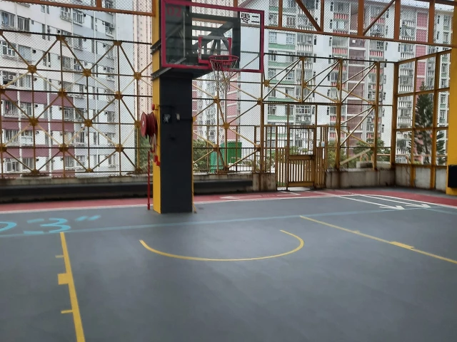 Profile of the basketball court Kai Yip Estate Multi-Storey Car Park, Kowloon Bay, Hong Kong SAR China