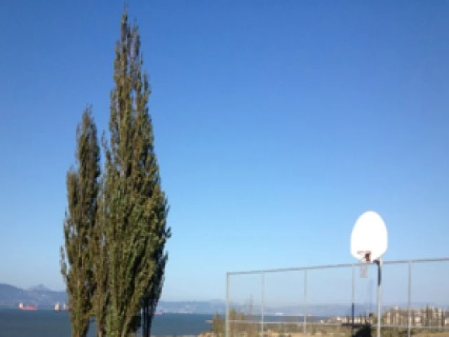 Profile of the basketball court India Basin Shoreline Park, San Francisco, CA, United States