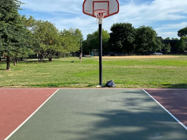 Profile of the basketball court W Monroe St. & S Throop St., Chicago, IL, United States