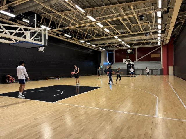 Profile of the basketball court Fryshuset, Stockholm, Sweden