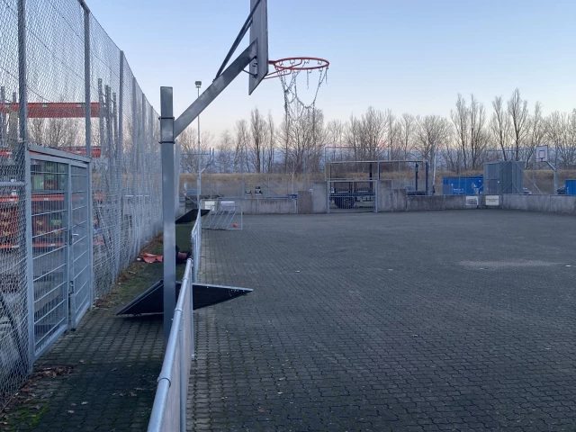 Profile of the basketball court TEC, Hvidovre, Denmark
