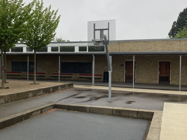 Profile of the basketball court Kirsebærhavens skole, København, Denmark